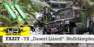 Beitragsbild des Blogbeitrags Erfahrungsbericht: „Desert Lizard“ Stoßdämpfer von Yeah Racing 