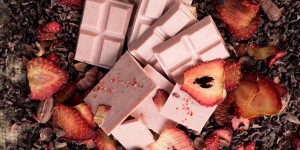 Beitragsbild des Blogbeitrags Edelmond Chocolatiers : So wie Schokolade sein soll! 