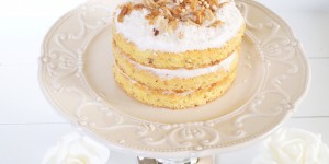 Beitragsbild des Blogbeitrags Karotten-Mandelbiskuit-Torte mit Mango-Kokossahne 
