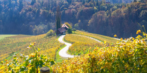 Beitragsbild des Blogbeitrags Die Toskana Österreichs und ihre „Herzerlstraße“