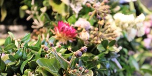 Beitragsbild des Blogbeitrags Mosauerin lernt einen Kranz binden