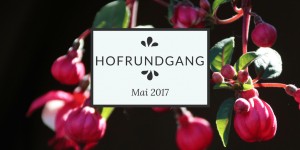 Beitragsbild des Blogbeitrags Hofrundgang Mai