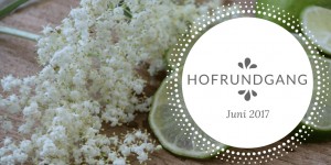 Beitragsbild des Blogbeitrags Hofrundgang Juni – der Sommer ist angekommen…