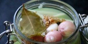 Beitragsbild des Blogbeitrags Mosauerins Innviertler Senfgurken mit a weng an Balkantouch 