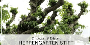 Beitragsbild des Blogbeitrags Mosauerins Lieblingsplatzl im Innviertel: Herrengarten Reichersberg