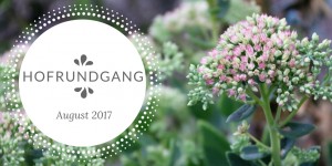 Beitragsbild des Blogbeitrags Hofrundgang August – der Sommer ist im Endspurt