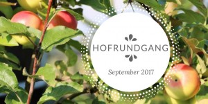 Beitragsbild des Blogbeitrags Hofrundgang September – Es ist wohl Herbst geworden 