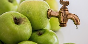 Beitragsbild des Blogbeitrags So macht man also Apfelsaft 