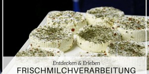 Beitragsbild des Blogbeitrags D’Mosauerin kaselt: Frischmilchverarbeitung in der Naturschule St.Veit 