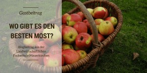 Beitragsbild des Blogbeitrags Blogs aus der Landwirtschaftlichen Fachschule Mauerkirchen – Teil 3: Wo gibt’s eigentlich den besten Most?