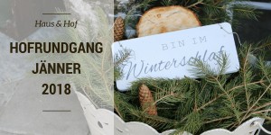 Beitragsbild des Blogbeitrags Hofrundgang am Mosauerhof – Jänner 2018