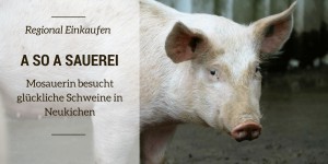 Beitragsbild des Blogbeitrags Regional & fair Einkaufen: Glückliche Schweine im Innviertel