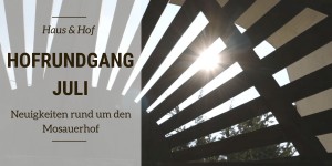 Beitragsbild des Blogbeitrags Hofrundgang Juli – Neuigkeiten rund um den Mosauerhof 