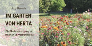 Beitragsbild des Blogbeitrags Auf Besuch: Im Garten von Herta in St.Veit 