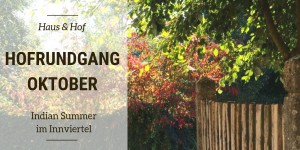 Beitragsbild des Blogbeitrags Hofrundgang Oktober – Indian Summer at it’s best 