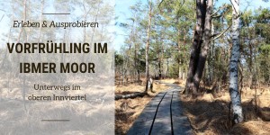 Beitragsbild des Blogbeitrags Vorfrühling im Ibmer Moor