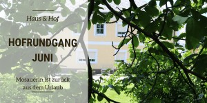 Beitragsbild des Blogbeitrags Hofrungang Juni – zruck vom Urlaub