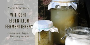 Beitragsbild des Blogbeitrags Wie geht eigentlich Fermentieren – Grundlagen, Tipps & Workshop