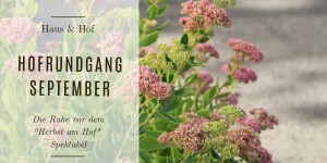 Beitragsbild des Blogbeitrags Hofrundgang September – die Ruhe vor dem „Herbst am Hof“ Spektakel