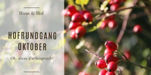 Beitragsbild des Blogbeitrags Hofrundgang Oktober – Oh, diese Farbenpracht!