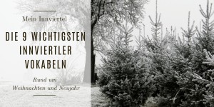 Beitragsbild des Blogbeitrags Die 9 wichtigsten Innviertler Vokalbeln rund um Weihnachten & Neujahr 