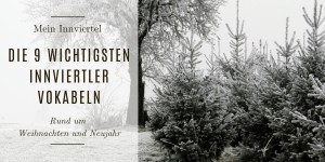 Beitragsbild des Blogbeitrags Die 9 wichtigsten Innviertler Vokabeln rund um Weihnachten & Neujahr