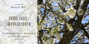 Beitragsbild des Blogbeitrags Frühlingsimpressionen