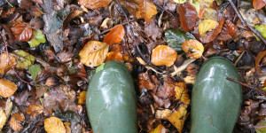 Beitragsbild des Blogbeitrags WaldZAUBER: Warum Kinder in den Wald gehören (und 3 Tipps die du sofort umsetzen kannst)