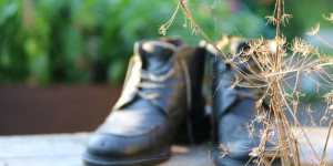Beitragsbild des Blogbeitrags Hofrundgang im Sommer