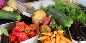 Beitragsbild des Blogbeitrags Biohof Genger – Regionales Gemüse aus Treubach