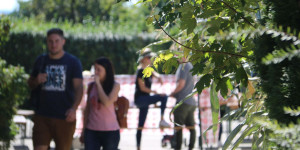 Beitragsbild des Blogbeitrags Das war Herbst am Hof 2021