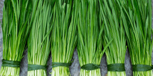 Beitragsbild des Blogbeitrags Garten Quickie: Schnittlauch im Winter
