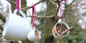 Beitragsbild des Blogbeitrags Vogelfutter Tassen selbstgemacht