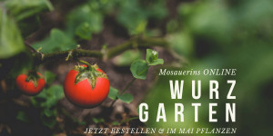 Beitragsbild des Blogbeitrags Die Schönsten Pflanzerl für deinen Wurzgarten 