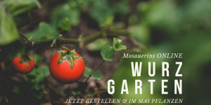 Beitragsbild des Blogbeitrags Die Schönsten Pflanzerl für deinen Wurzgarten