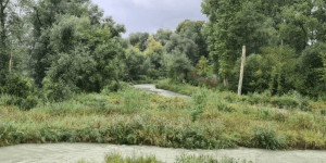 Beitragsbild des Blogbeitrags Ausflugstipp: Naturium am Inn / Ering
