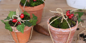 Beitragsbild des Blogbeitrags Easy Weihnachtsdeko im Topf