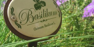 Beitragsbild des Blogbeitrags 10. Pflanzenmarkt