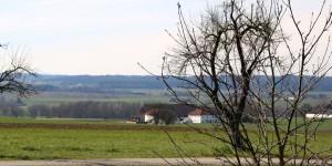Beitragsbild des Blogbeitrags Landblogger – wo seid ihr?