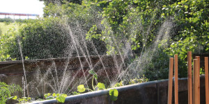 Beitragsbild des Blogbeitrags Lazy Gardening: Mulchen & Automatische Gartenbewässerung