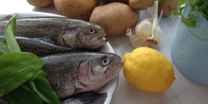 Beitragsbild des Blogbeitrags Frühlings Forelle – ein gesungenes Rezept 