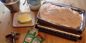 Beitragsbild des Blogbeitrags Germteig 