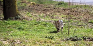 Beitragsbild des Blogbeitrags Ja Hallo Du Gatse!