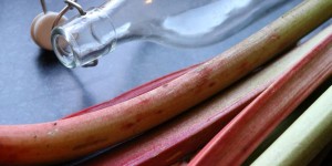 Beitragsbild des Blogbeitrags Gib Rhabarber eine Chance!