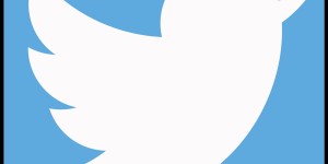 Beitragsbild des Blogbeitrags 2b bloggt: Twittern als Bauer?!