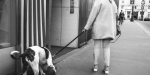 Beitragsbild des Blogbeitrags Street Photography in Wien im Jänner/Februar2017