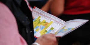 Beitragsbild des Blogbeitrags Höfefest Groß-Enzersdorf 2017