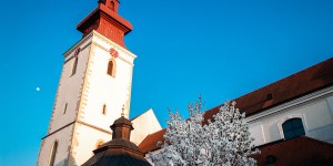 Beitragsbild des Blogbeitrags Basis Fotokurs an der VHS Groß-Enzersdorf