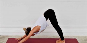 Beitragsbild des Blogbeitrags Asana Monday: Adho Mukha Svanasana