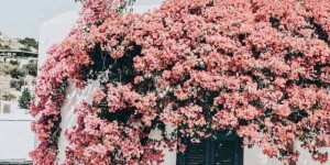 Beitragsbild des Blogbeitrags Fernweh – Destinations I wanna go